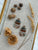 Notes from the Field Earrings